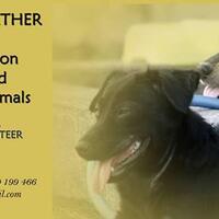 surabaya-animal-care-center-sacc