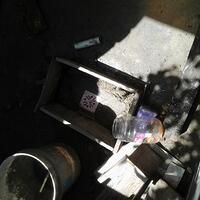 pecinta-ikan-komet-masuk-sini