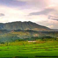 8-pemandangan-sawah-terdahsyat-di-dunia