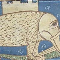 cara-orang-eropa-zaman-dulu-menggambarkan-hewan-eksotis