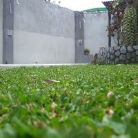 menyimpan-air-siapa-takut