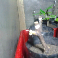 kampung-anggur----part-1