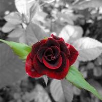 nongkrong-bareng-digital-pocket-dan-prosumer---part-3