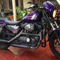 harley-davidson-lovers--enthusiast