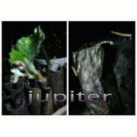 kampung-anggur----part-1