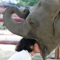 cewek-cewek-ini-mencium-anti-mainstreamgreget