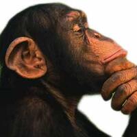 kenapa-telapak-tangan-bergaris-aga-bb