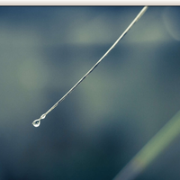 reborn-ubuntu-community---part-2