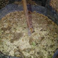 kampung-anggur----part-1