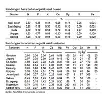 kampung-anggur----part-1