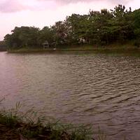 post-image