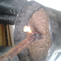 kampung-anggur----part-1