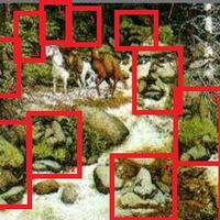 tes-kepekaan-pupil-mata