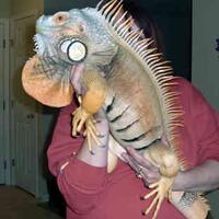 dinosaurus-dan-naga-yang-biasa-dipelihara-di-kehidupan-nyata