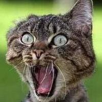 lounge-stories-from-the-heart---read-1st-page-before-pos---part-21