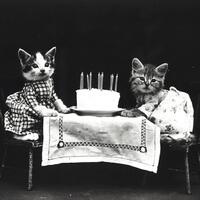 foto-foto-kucing-dan-anjing-yg-menggemaskan-dari-satu-abad-yang-lalu