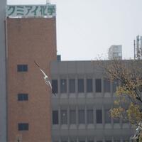 post-image