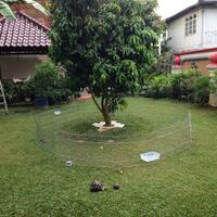 93787769378776937-all-about-tortoise-93787769378776937---part-3