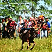 pasola-aksi-pelempar-lembing-dan-penunggang-kuda-dari-sumba