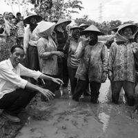 polarisasi-media-saat-beritakan-jokowi