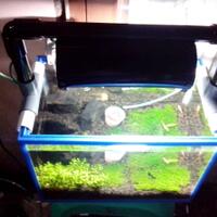 aquascape-for-everyone-learning-and-sharing---part-1