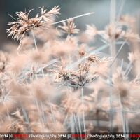 nongkrong-bareng-lensa-50mm-normal-lens---part-1