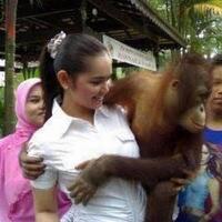 hebohbinatang-ini-tertangkap-kamera-sedang-memegang-buah-dada-wanita-bb17