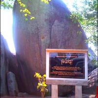 rush-adventure-family-tree-travelling