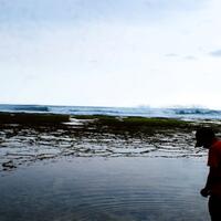 frpantai-pantai-di-garut-selatan-aprak-aprakan-dari-rancabuaya-sampai-santolo