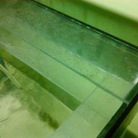 pecinta-ikan-komet-masuk-sini