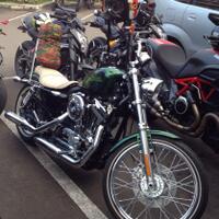 harley-davidson-lovers--enthusiast
