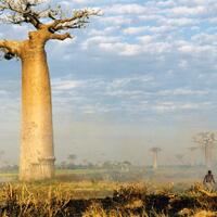 10-tumbuhan-paling-unik--aneh-yang-telah-ditemukan