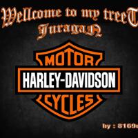 ciri2-jenis-harley-davison-full-pict-bb-sedikit