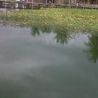 post-image