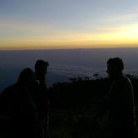 post-image