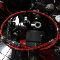 apa-kata-mereka-tentang-ts-everton