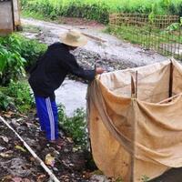 tidak-punya-jamban-1-miliar-penduduk-dunia-buang-air-di-sungai