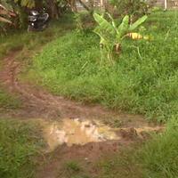 post-image