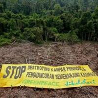 hutan-dan-makam-leluhur-dirusak-warga-minta-presiden-sby-turun-tangan