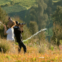 regional-surabaya-forest-v20--sekitarnya---part-6