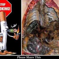 awasss-mulai-24-juni-2014-bungkus-rokok-ada-gambar-ini