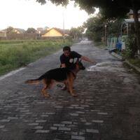 post-image