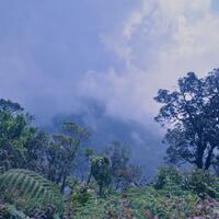 catper-menembus-hutan-rimba-menuju-puncak-gunung-salak