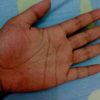 share-tentang-pengetahuan-keilmuan-garis-tangan---palmistry