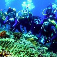 yuk-mengenal-teknik-teknik-olahraga-diving