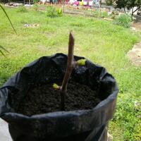 post-image