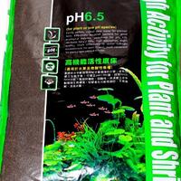 aquascape-for-everyone-learning-and-sharing---part-1