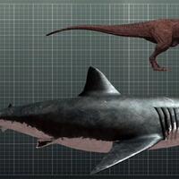 video-penampakan-hiu-super-raksasa-megalodon