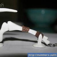 reborn-dota-2------part-1