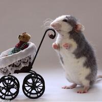 tikus-lucu-berpose-kaya-manusia-pict